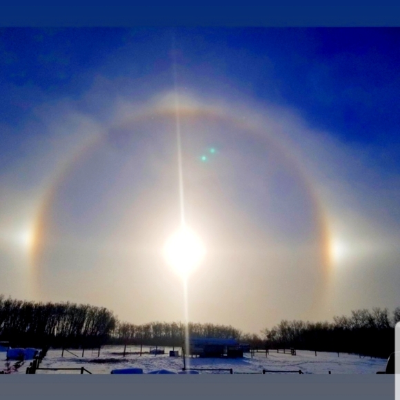 Photo - Picture 1 of 1